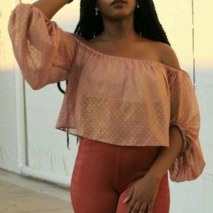 Missguided rose gold dobby mesh bardot crop top
